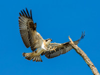 Air Brakes