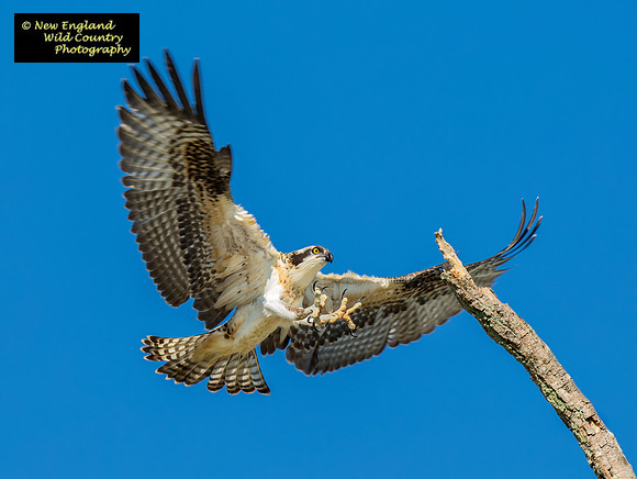 Air Brakes