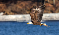 River Patrol