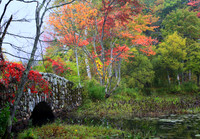 Fall