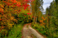 Autumn Stroll