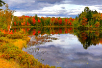 Autumn Meadow