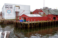 Cape Pond Ice