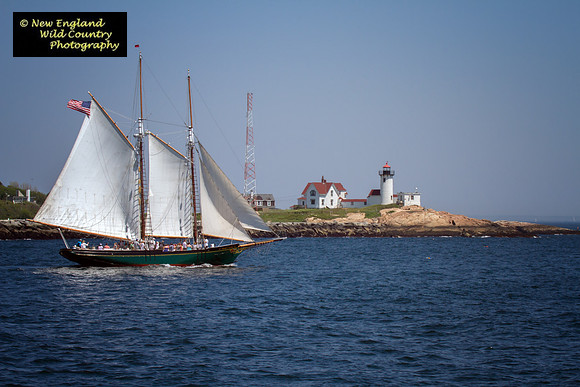 Schooner Sails & Lighthouse