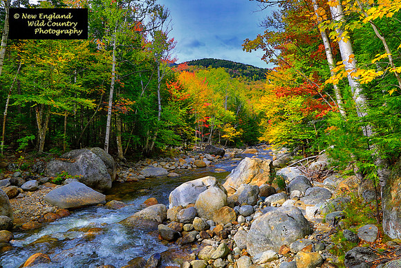 Autumn Mountain River