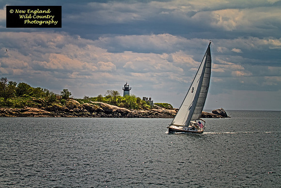 Ten Pound Island
