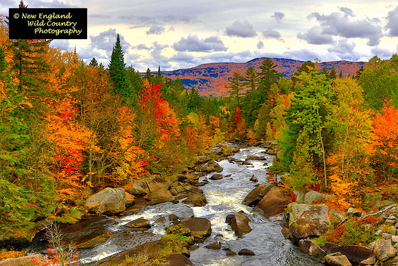 New England Fall Color