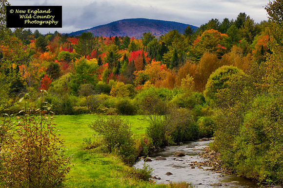 Vermont Fall Color