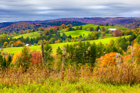Autumn In The Greens