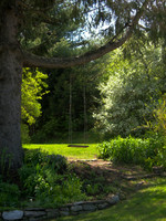 Grandma's Tree Swing