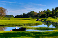 Tidal Creek