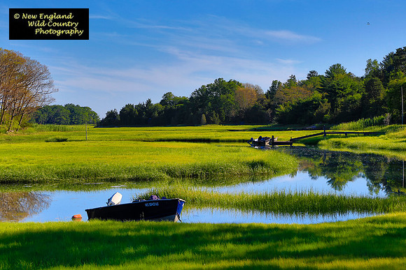 Tidal Creek