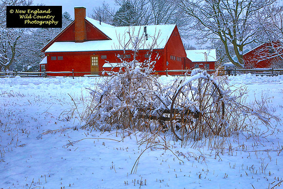 Snow Rake