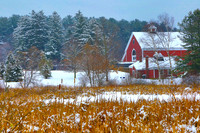 Winter Blanket
