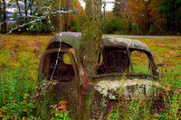 Unique Backroad Finds