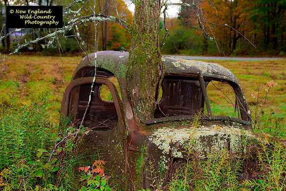 Grandpa's Ole Pickup
