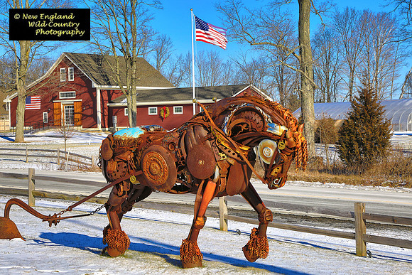 Iron Horse Farm
